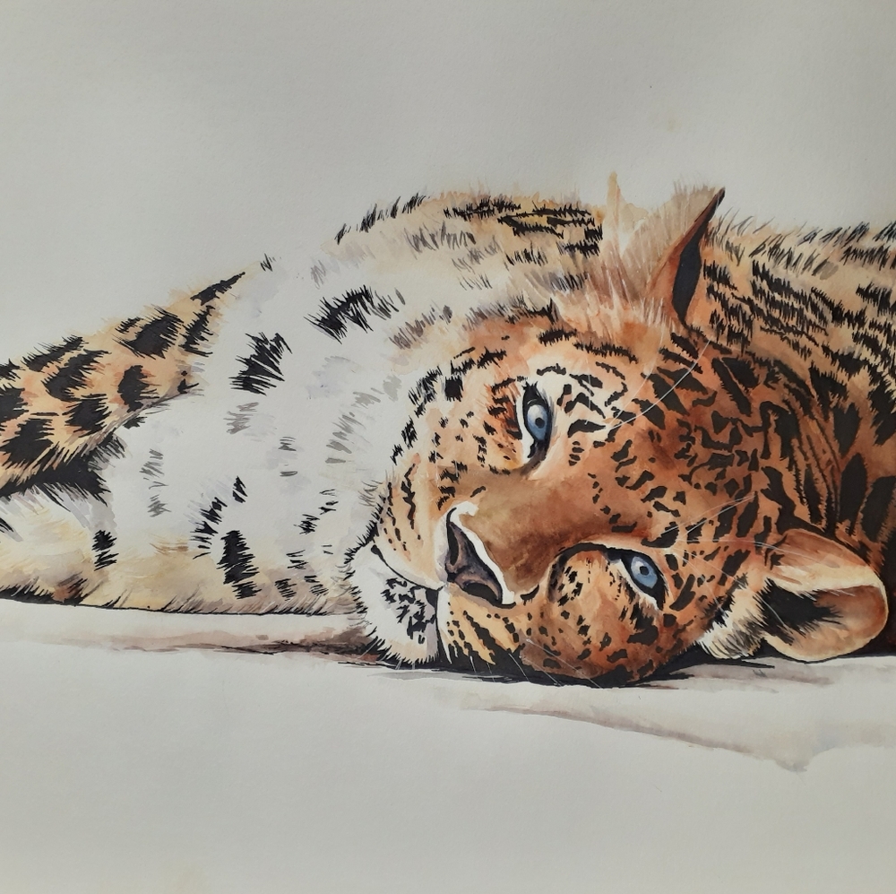 18x24" watercolor leapard painting